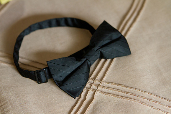 Ana and Millard Wedding