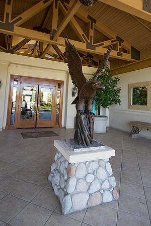 IMG-0317