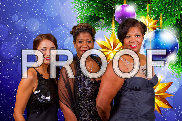 First Team Real Estate Christmas Party