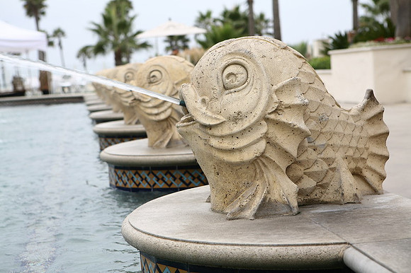 Image 000008