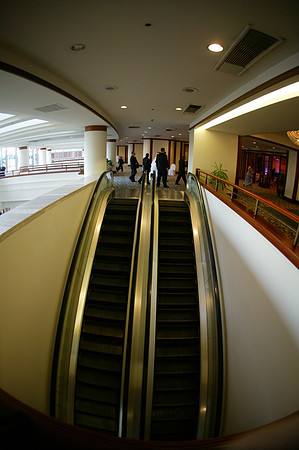 Image_00704