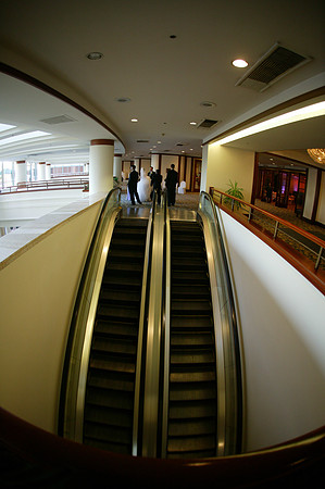 Image_00703