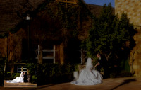 Wedding Album